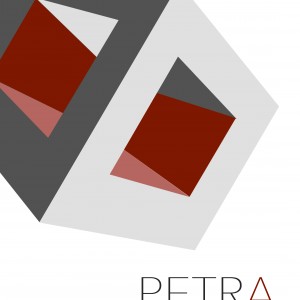 Petra proyectos y construcciones 