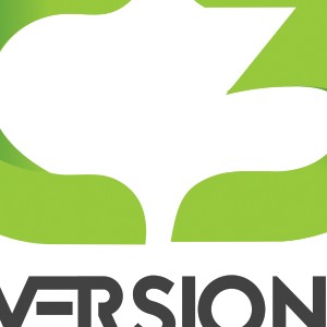 C3 INVERSIONES S.A.S.