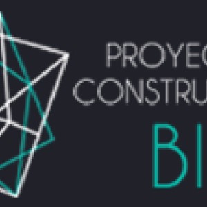 Proyectos y Construcciones BIM s.a.s