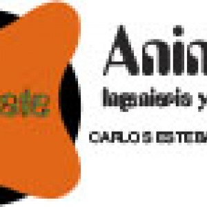 Carlos Esteban Martinez - Anímate Ingeniería