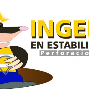 INGENIERIA EN ESTABLIZACIONES