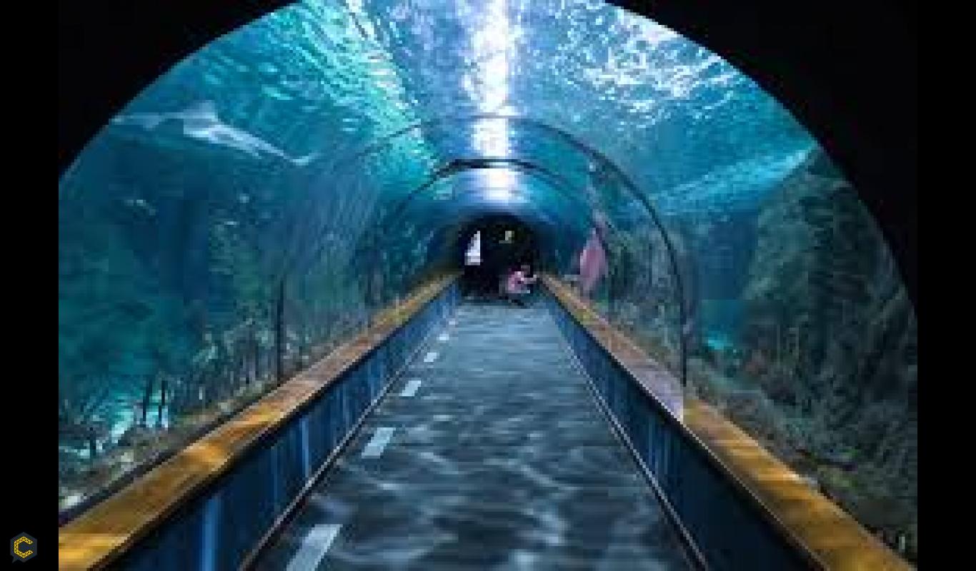 Mega túneles y construcciones bajo el agua