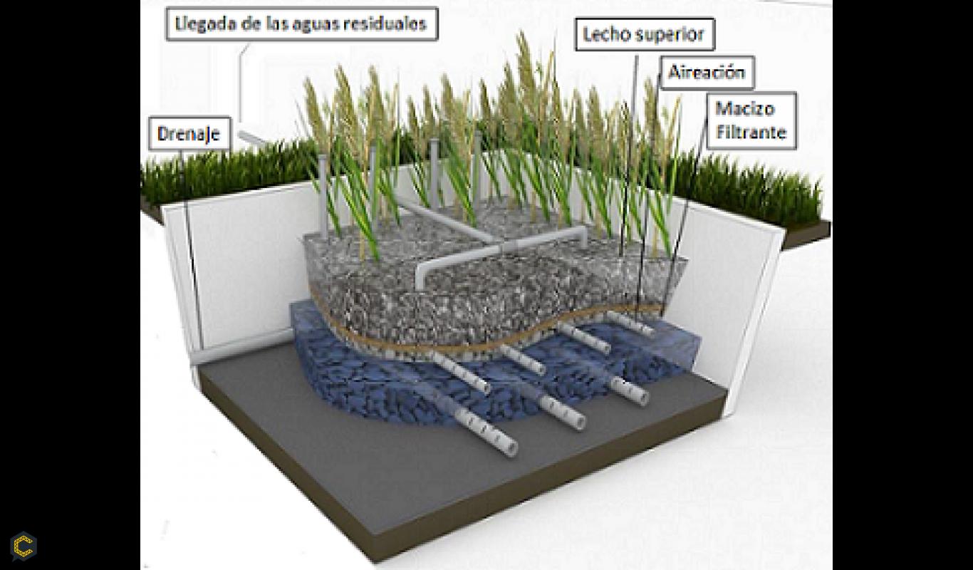 Tratamiento de aguas residuales mediante humedales artificiales: el Sistema Francés (I)