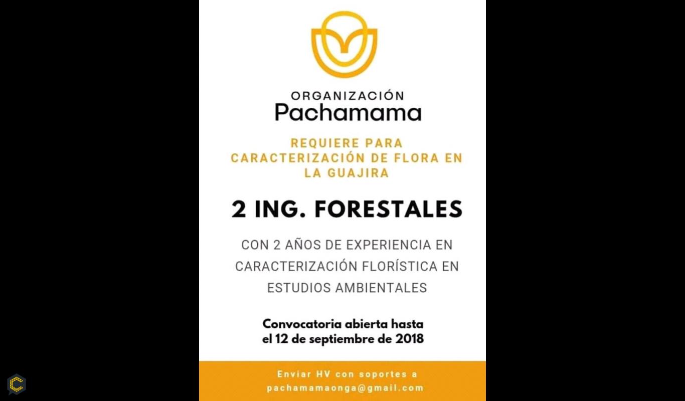 Convocatoria abierta (2 ing. Forestales)