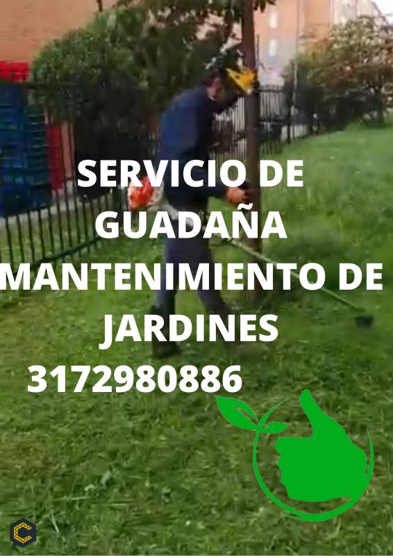 SERVICIO DE GUADAÑA MANTENIMIENTO DE JARDINES ZONAS VERDES