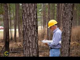 Se requiere ingeniero forestal