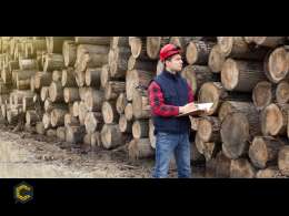 Empresa de consultoría requiere 2 ingenieros forestales