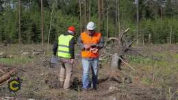 Consultora ambiental requiere: Cuatro (4) ingenieros forestales graduados
