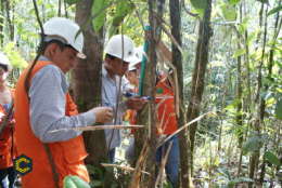 Se requiere un Ingeniero Forestal y Biologo con experiencia en planes de manejo ambiental y planes de compensación