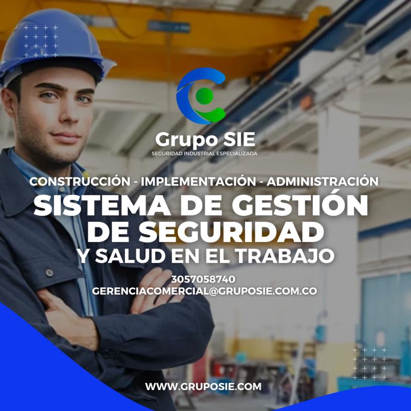 ImplementaciÓn Y AdministraciÓn Del Sistema De Gestion De Seguridad Y Salud En El Trabajo 7895